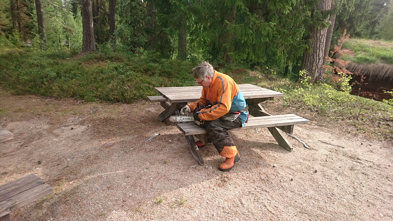 Sten slipar kedjan inför borttag av träd där ny byggnad ska stå