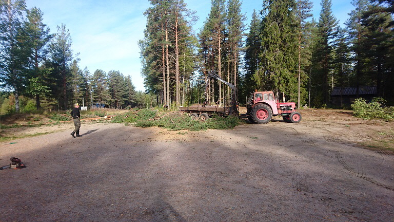 Örjan P fraktar bort ris och grenar