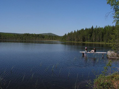 rötjärn_sommar